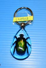Roger's Aquatics ROGER'S AQUATIC Keychain Transparent