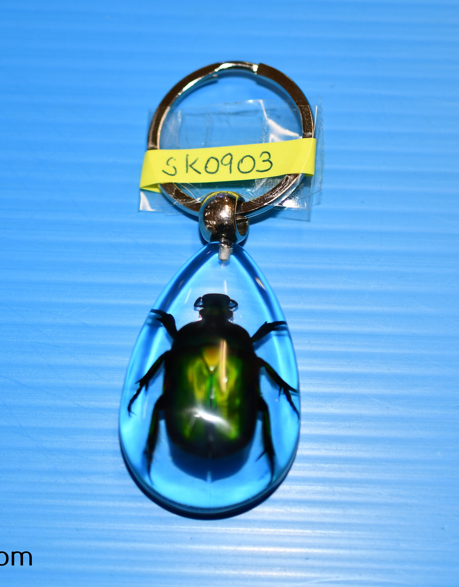Roger's Aquatics ROGER'S AQUATIC Keychain Transparent