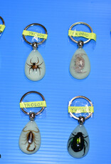 Roger's Aquatics ROGER'S AQUATIC Keychain Glow-in-the-Dark