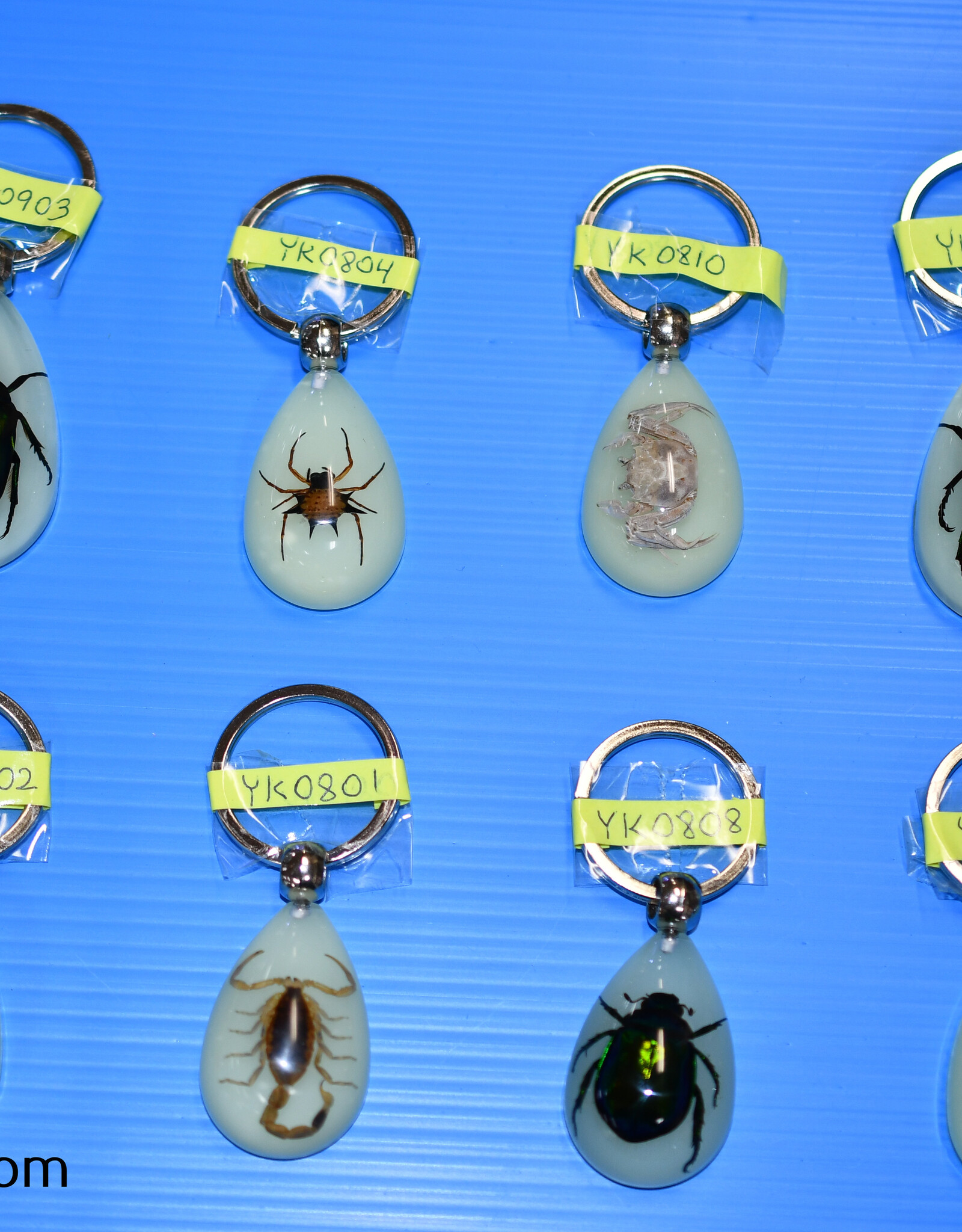 Roger's Aquatics ROGER'S AQUATIC Keychain Glow-in-the-Dark