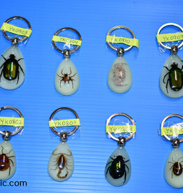 Roger's Aquatics ROGER'S AQUATIC Keychain Glow-in-the-Dark