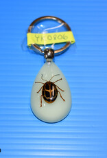 Roger's Aquatics ROGER'S AQUATIC Keychain Glow-in-the-Dark