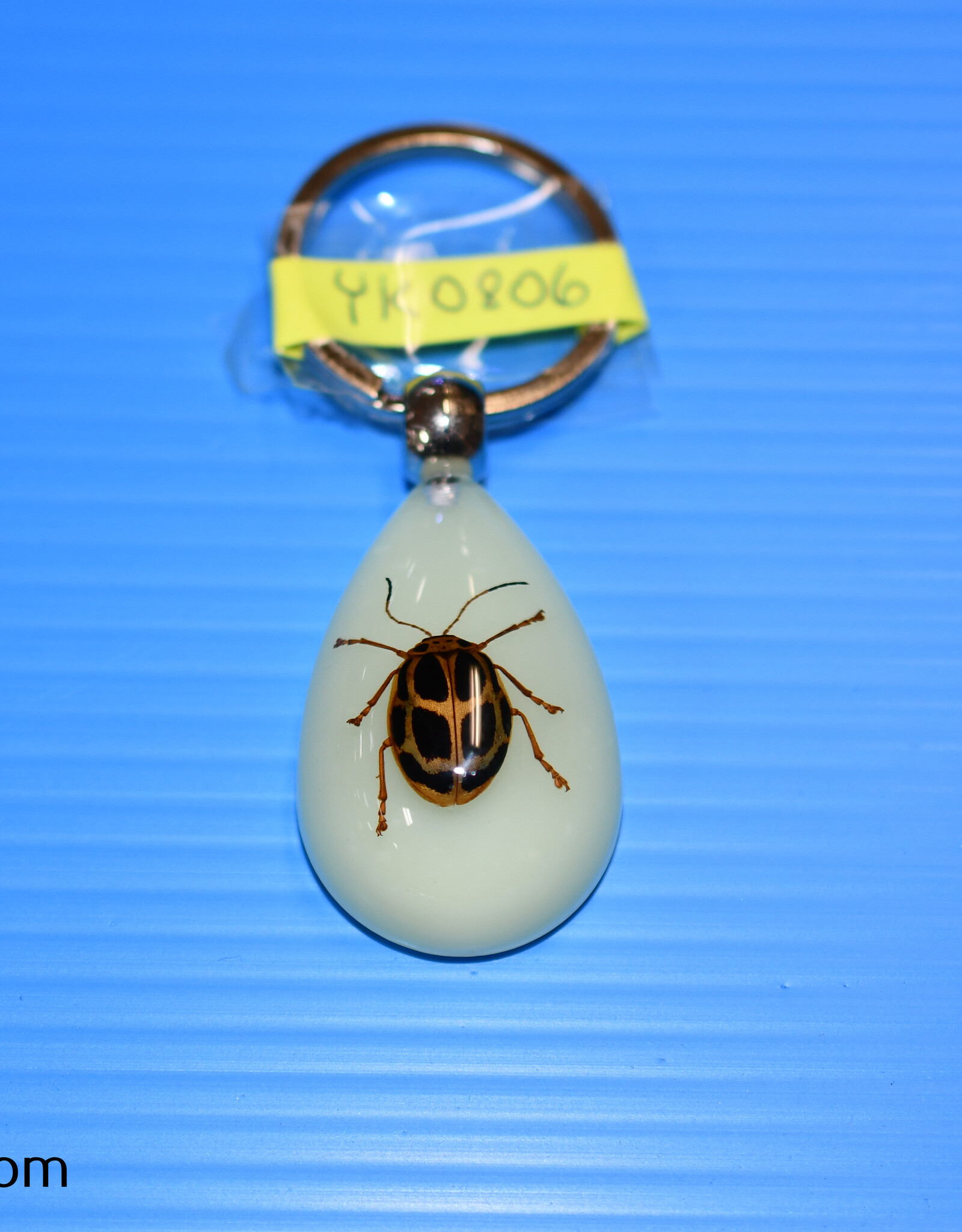 Roger's Aquatics ROGER'S AQUATIC Keychain Glow-in-the-Dark