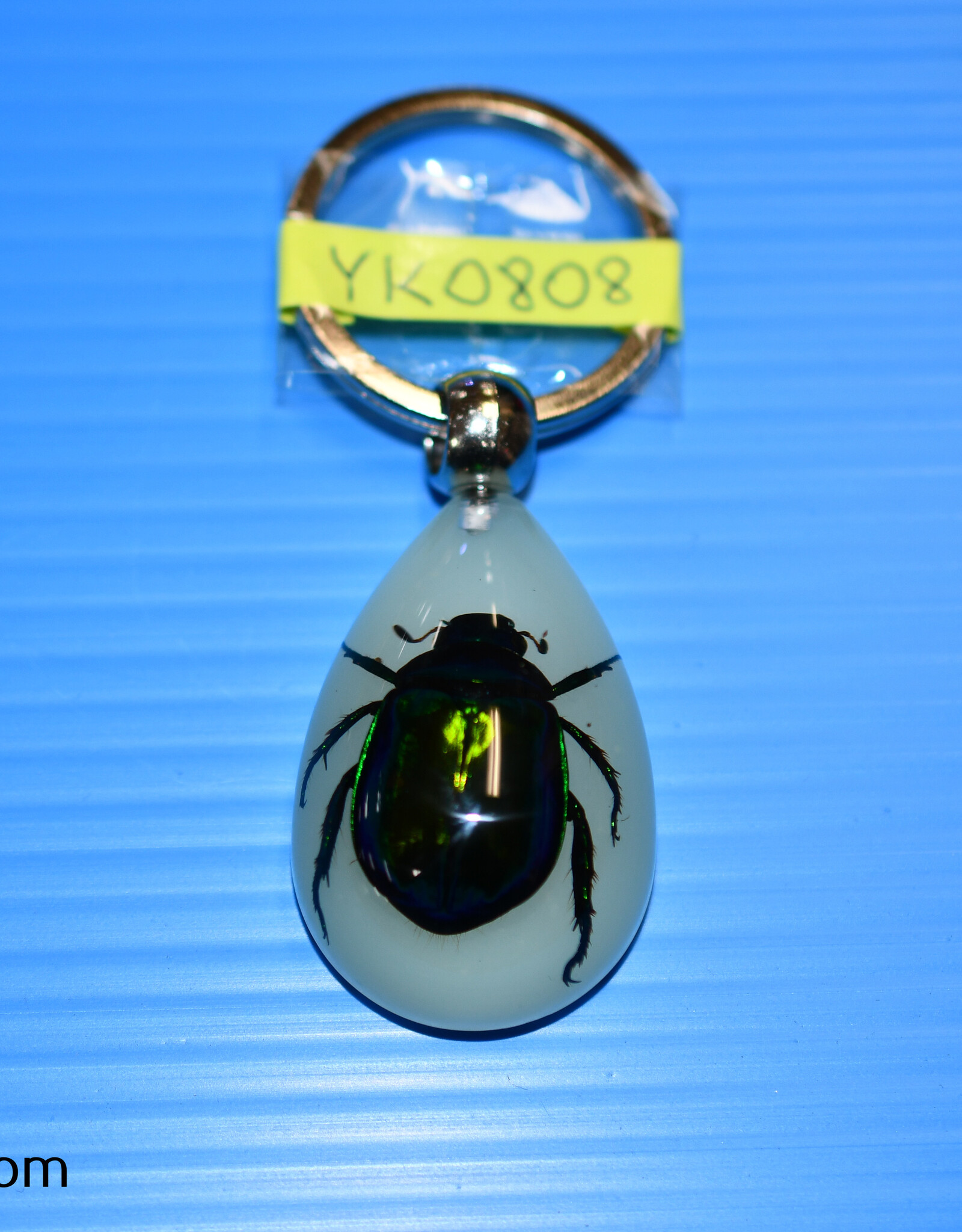 Roger's Aquatics ROGER'S AQUATIC Keychain Glow-in-the-Dark