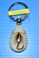 Roger's Aquatics ROGER'S AQUATIC Keychain Glow-in-the-Dark