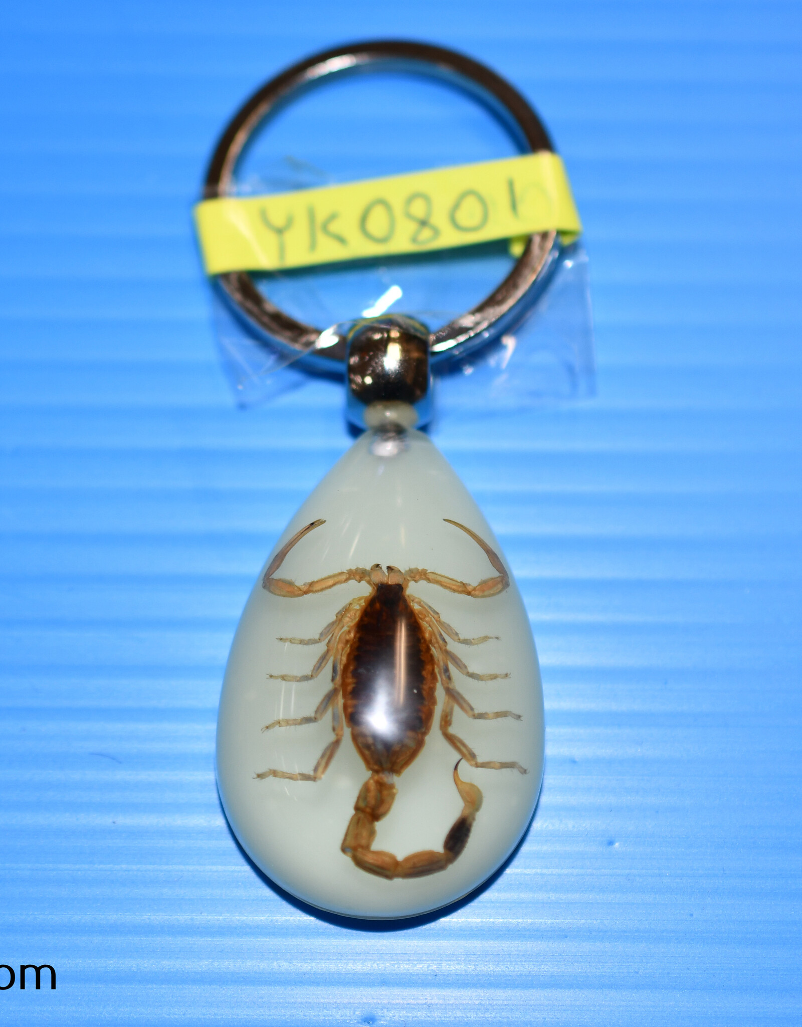 Roger's Aquatics ROGER'S AQUATIC Keychain Glow-in-the-Dark