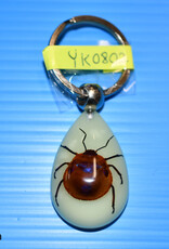 Roger's Aquatics ROGER'S AQUATIC Keychain Glow-in-the-Dark