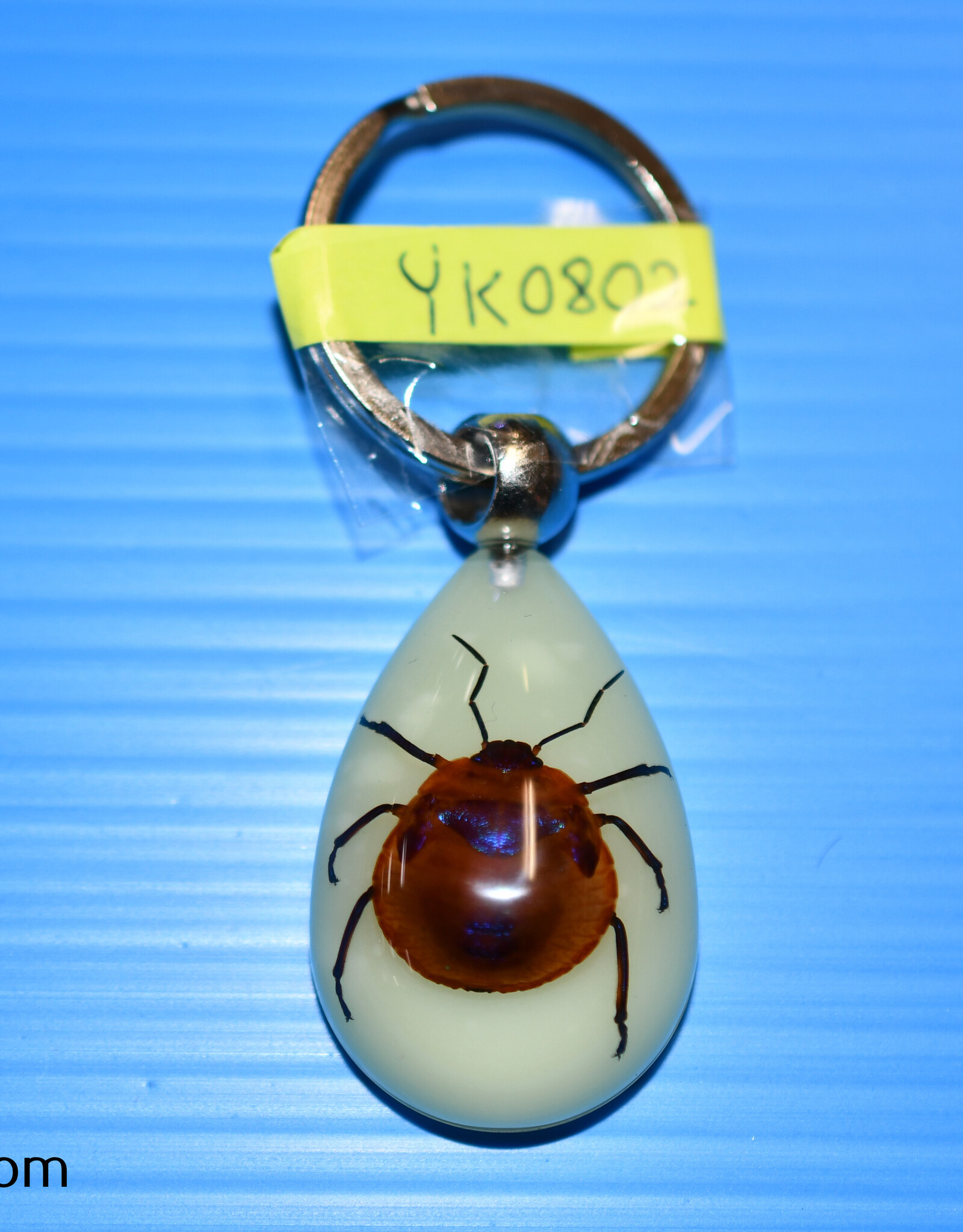 Roger's Aquatics ROGER'S AQUATIC Keychain Glow-in-the-Dark