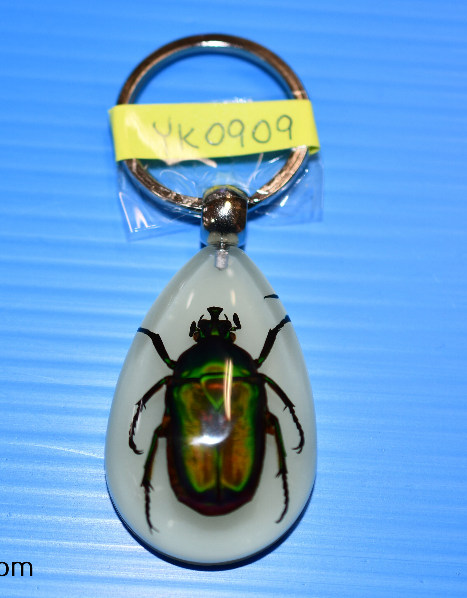 Roger's Aquatics ROGER'S AQUATIC Keychain Glow-in-the-Dark