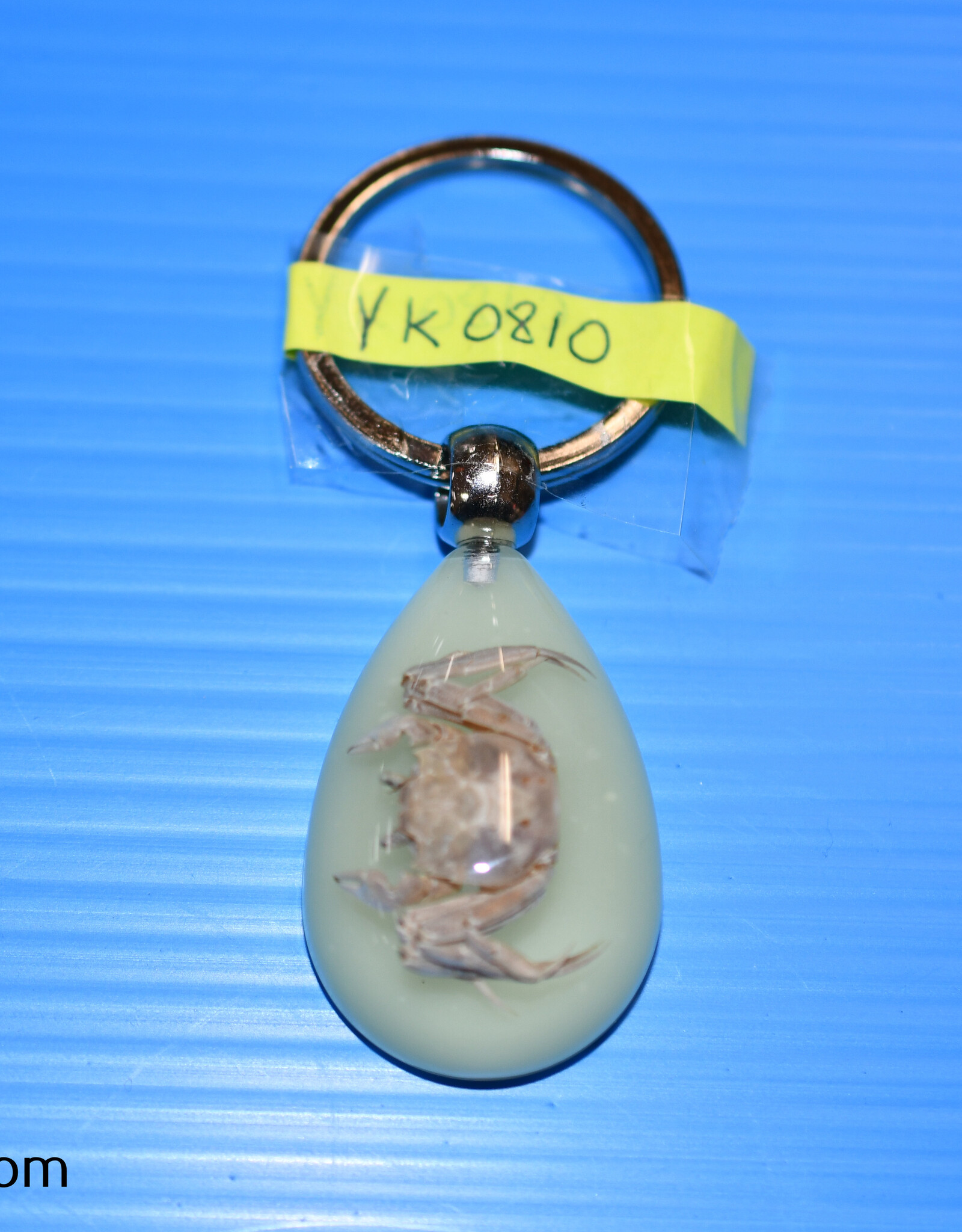 Roger's Aquatics ROGER'S AQUATIC Keychain Glow-in-the-Dark