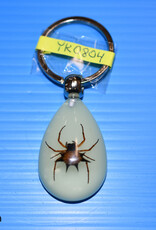 Roger's Aquatics ROGER'S AQUATIC Keychain Glow-in-the-Dark