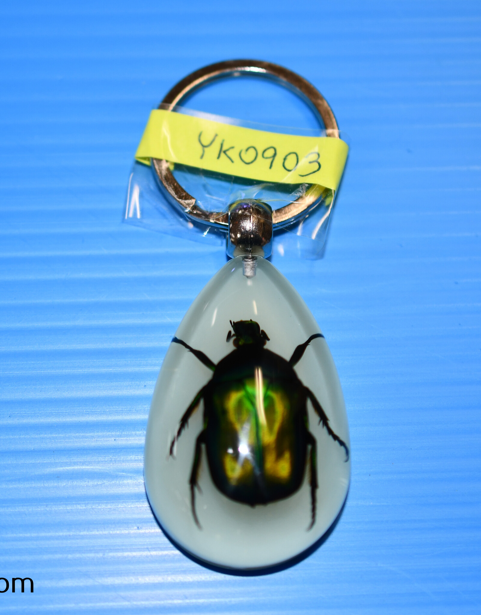 Roger's Aquatics ROGER'S AQUATIC Keychain Glow-in-the-Dark