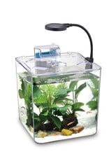 Nubios NUBIOS Desktop Betta Square