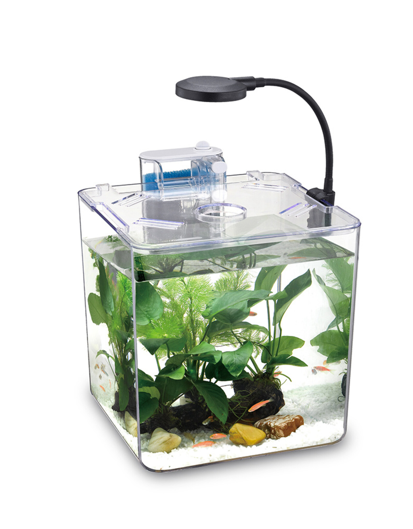 Nubios NUBIOS Desktop Betta Square