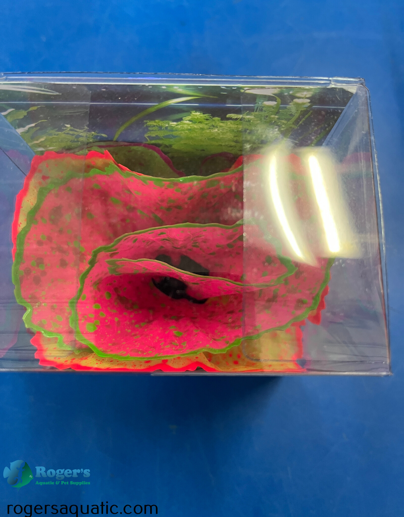 Roger's Aquatics ROGER'S AQUATIC Silicone Plant