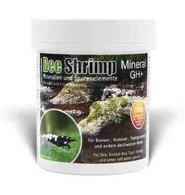 SaltyShrimp SALTYSHRIMP Bee Shrimp Mineral GH+