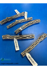 Roger's Aquatics ROGERS AQUATIC Finger Cholla Wood >3/4” diameter, 6” long