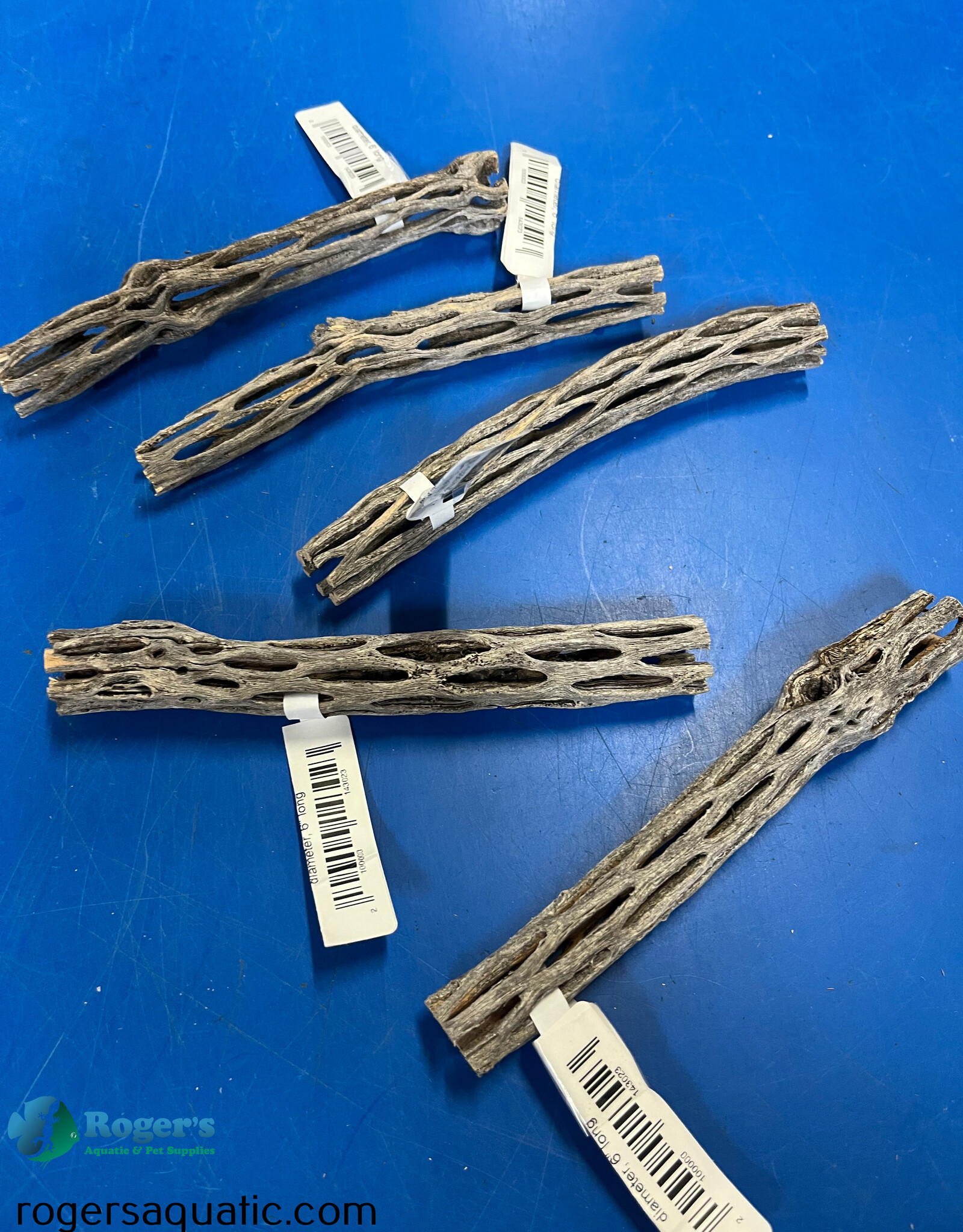 Roger's Aquatics ROGERS AQUATIC Finger Cholla Wood >3/4” diameter, 6” long