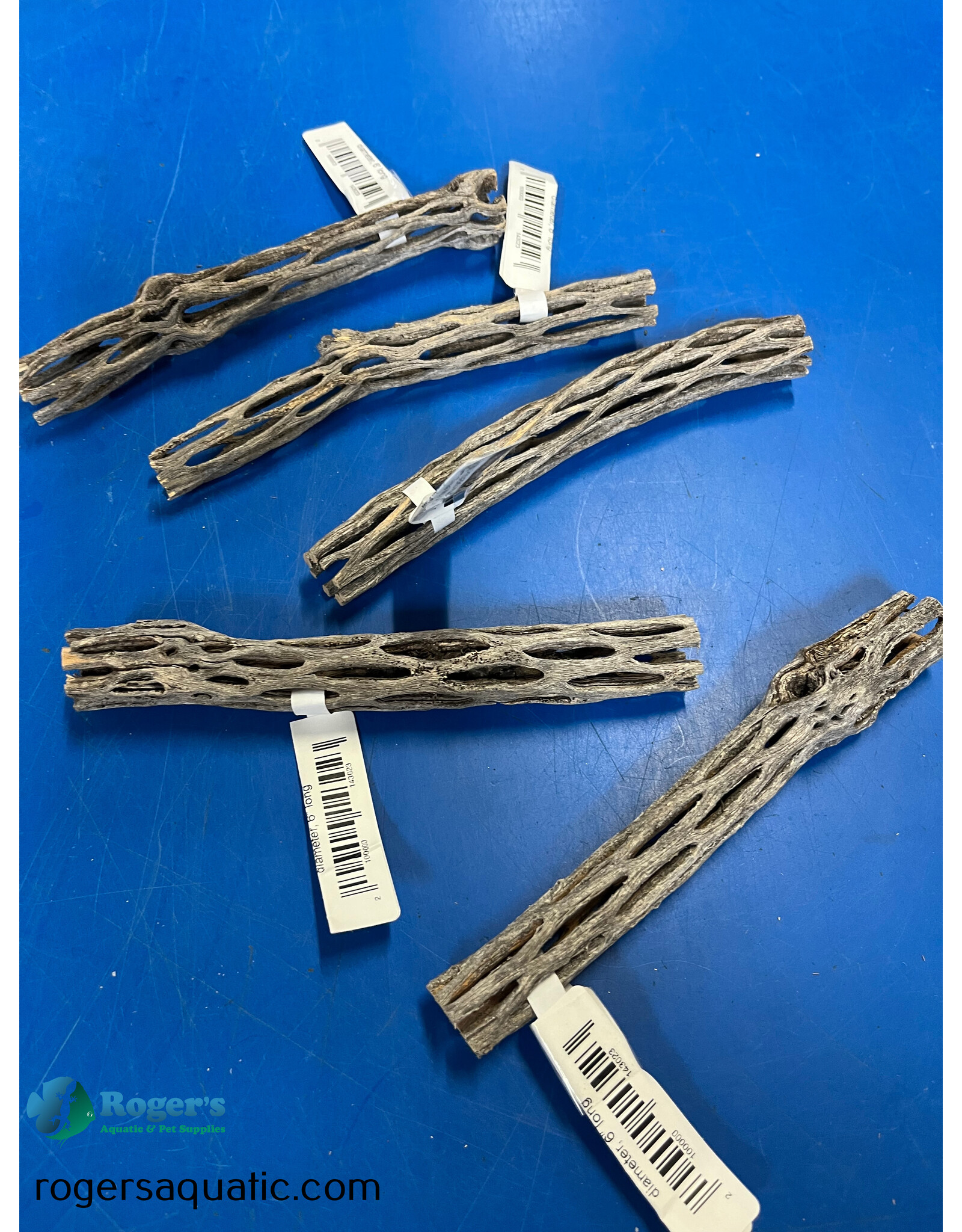 Roger's Aquatics ROGERS AQUATIC Finger Cholla Wood >3/4” diameter, 6” long