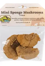 New Cal Pet NEWCAL Mini Sponge Mushrooms 3pc