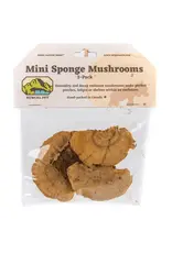 New Cal Pet NEWCAL Mini Sponge Mushrooms 3pc