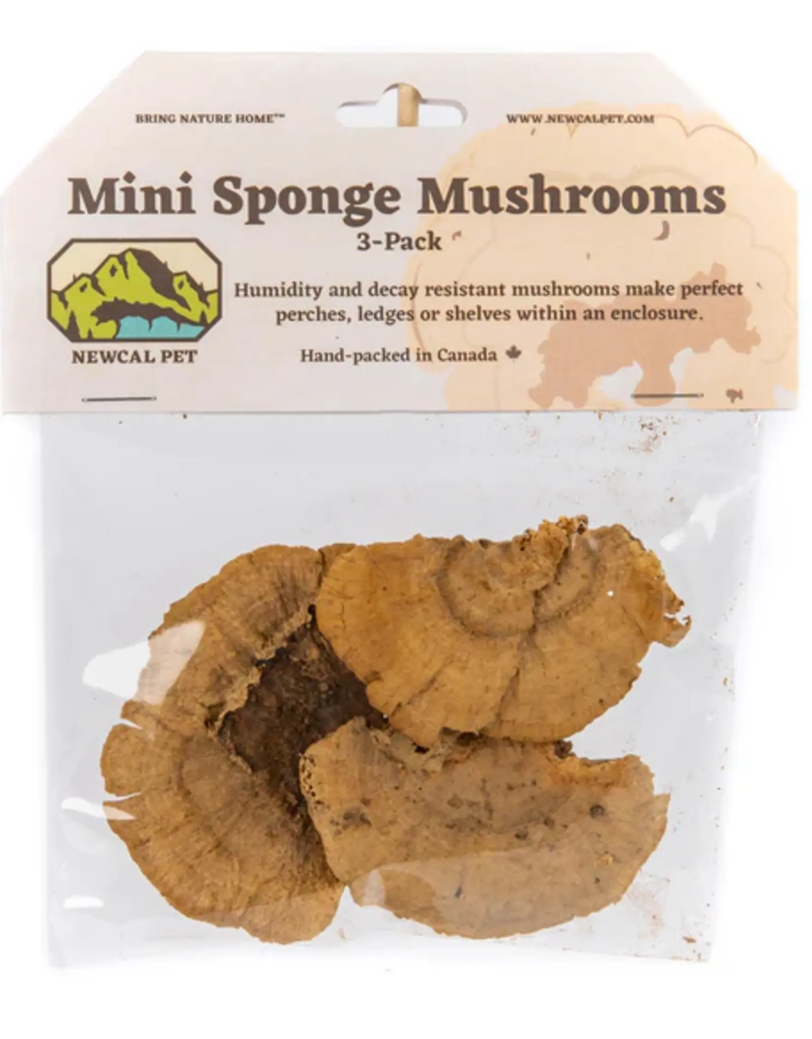 New Cal Pet NEWCAL Mini Sponge Mushrooms 3pc