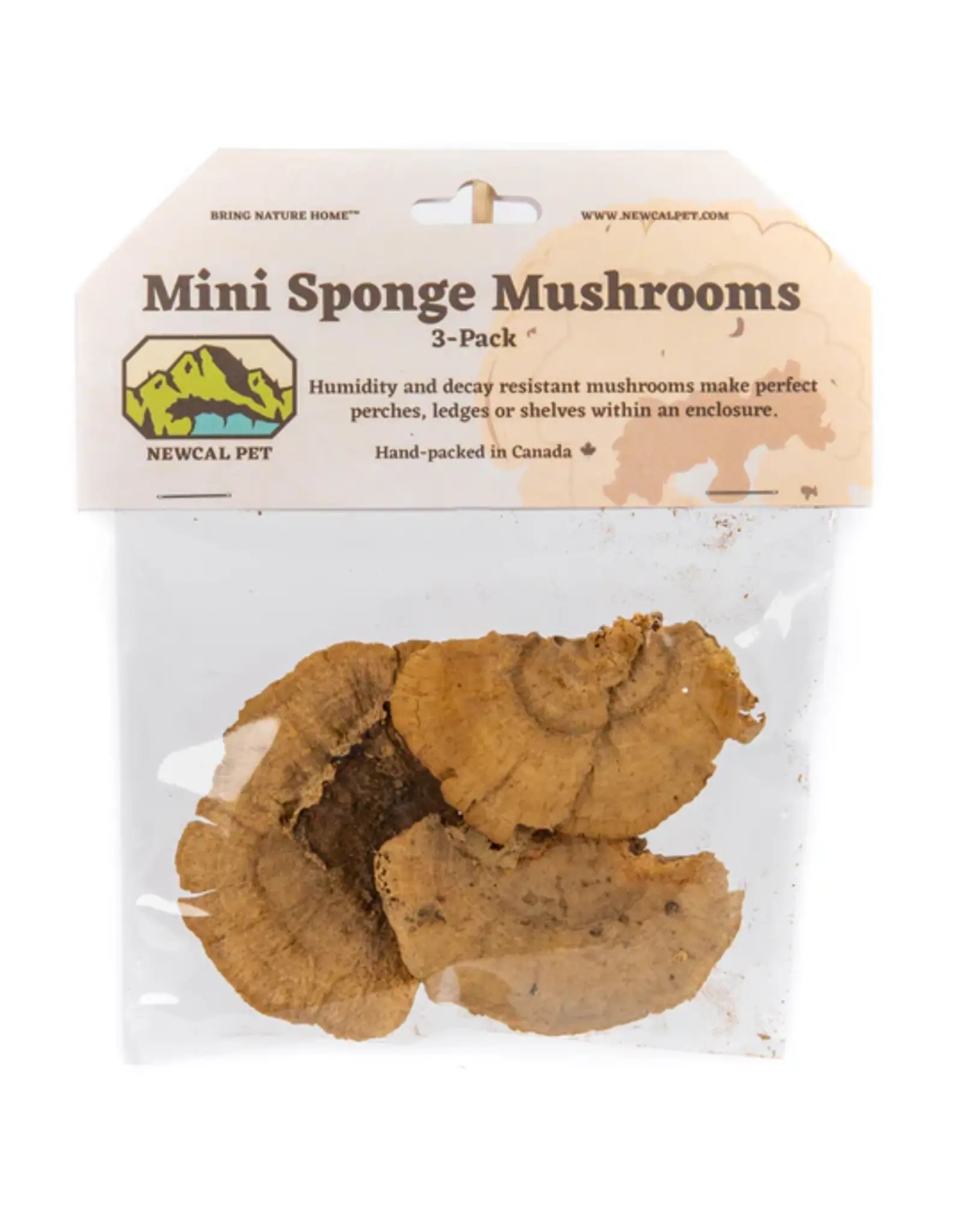 New Cal Pet NEWCAL Mini Sponge Mushrooms 3pc