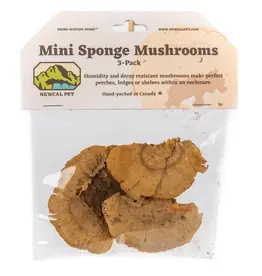 New Cal Pet NEWCAL Mini Sponge Mushrooms 3pc