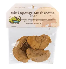 New Cal Pet NEWCAL Mini Sponge Mushrooms 3pc