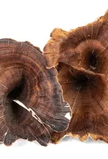 New Cal Pet NEWCAL Golden Mushrooms 4pc