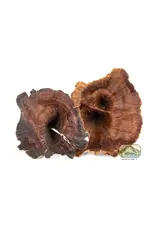 New Cal Pet NEWCAL Golden Mushrooms 4pc