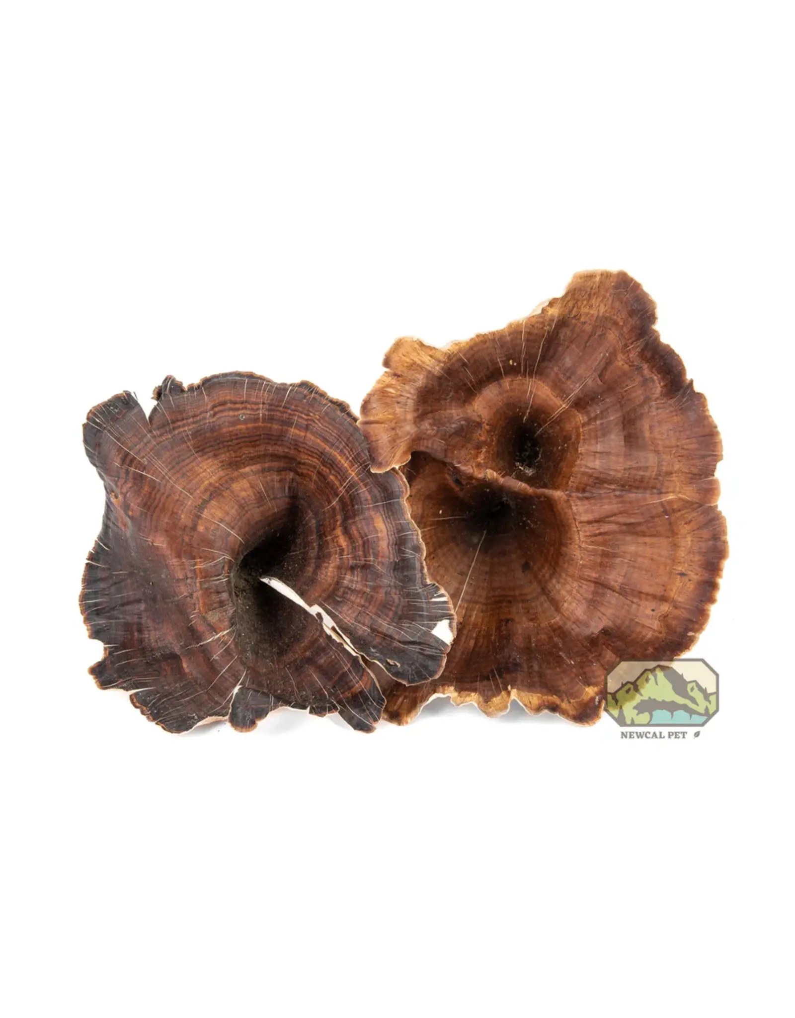 New Cal Pet NEWCAL Golden Mushrooms 4pc
