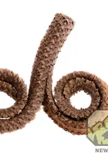 New Cal Pet NEWCAL Rams Head Pod 4-7" 2pc