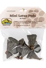 New Cal Pet NEWCAL Lotus Pods Mini 10pc