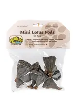 New Cal Pet NEWCAL Lotus Pods Mini 10pc
