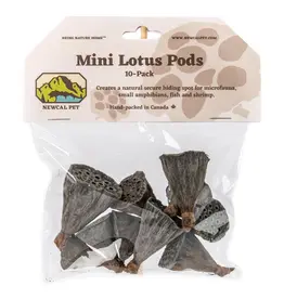 New Cal Pet NEWCAL Lotus Pods Mini 10pc