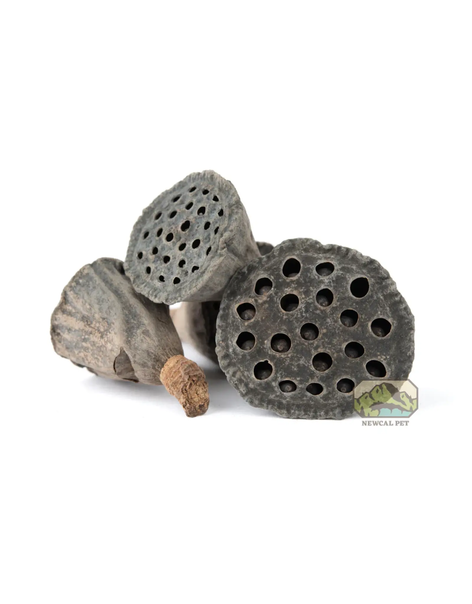 New Cal Pet NEWCAL Lotus Pods Mini 10pc