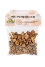 New Cal Pet NEWCAL Pumpkin Pods Mini 1oz