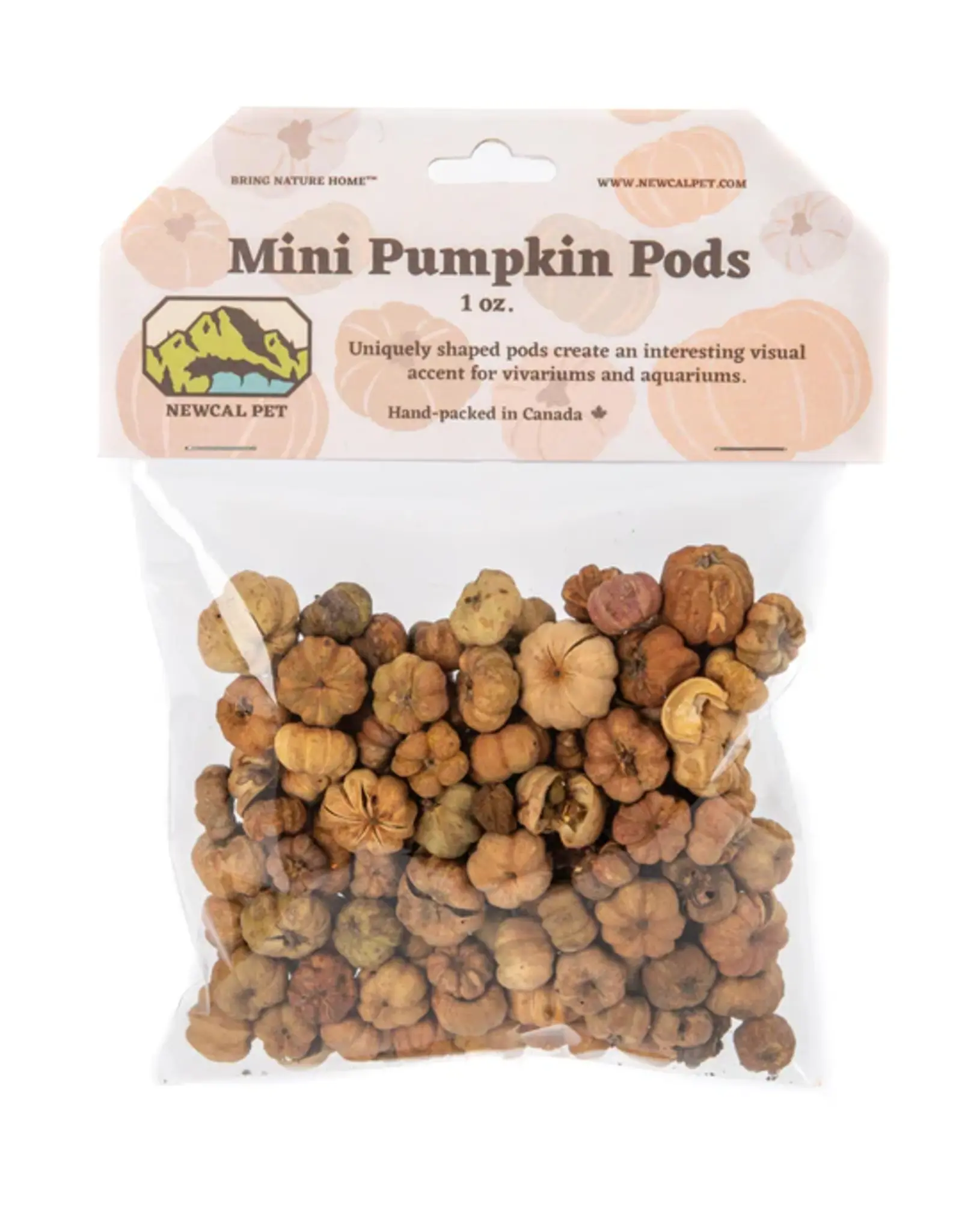 New Cal Pet NEWCAL Pumpkin Pods Mini 1oz