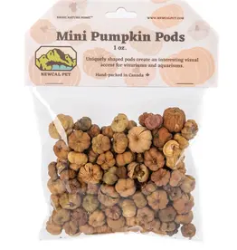 New Cal Pet NEWCAL Pumpkin Pods Mini 1oz