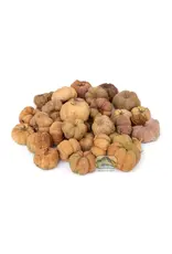 New Cal Pet NEWCAL Pumpkin Pods Mini 1oz