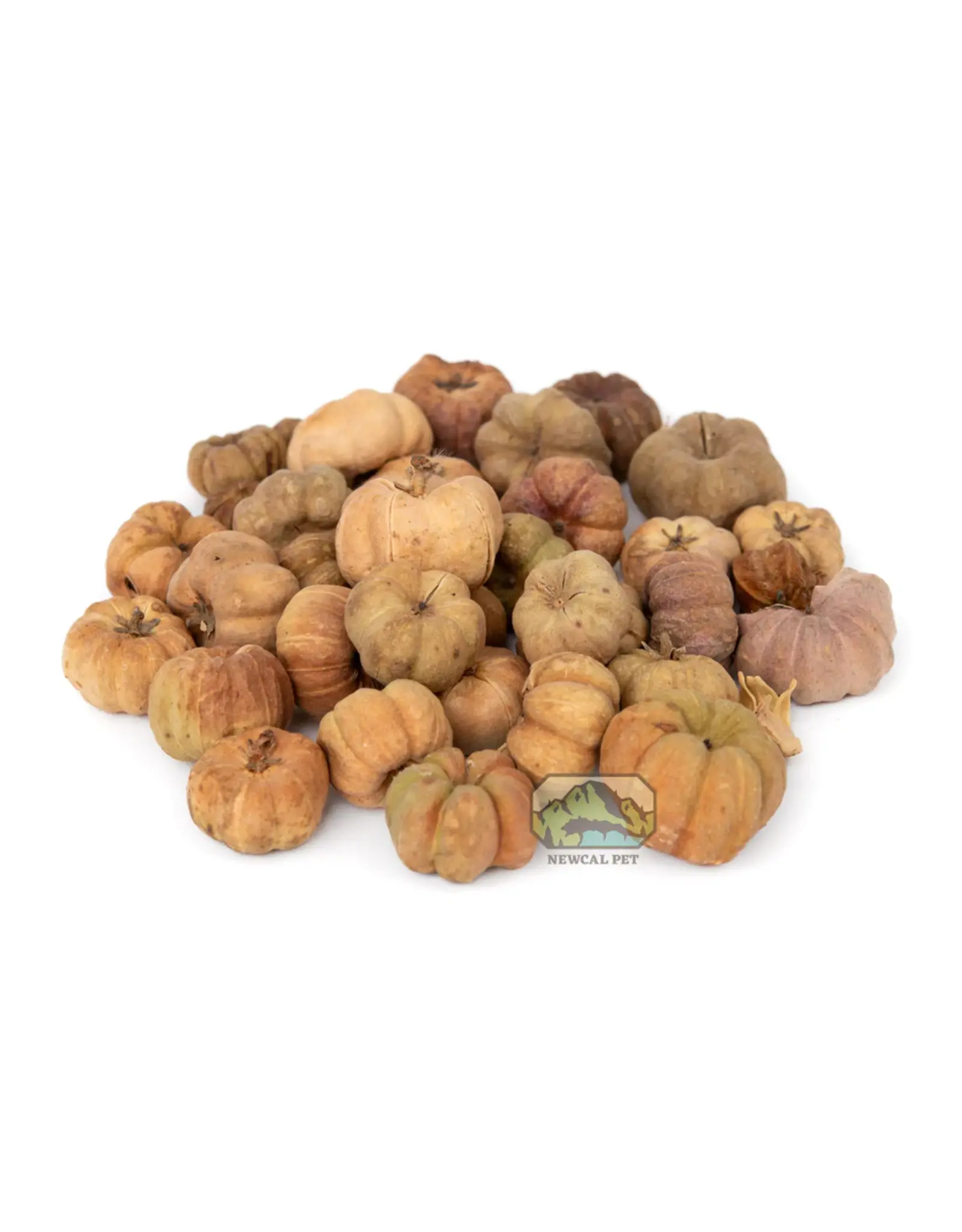 New Cal Pet NEWCAL Pumpkin Pods Mini 1oz
