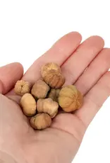 New Cal Pet NEWCAL Pumpkin Pods Mini 1oz