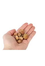 New Cal Pet NEWCAL Pumpkin Pods Mini 1oz