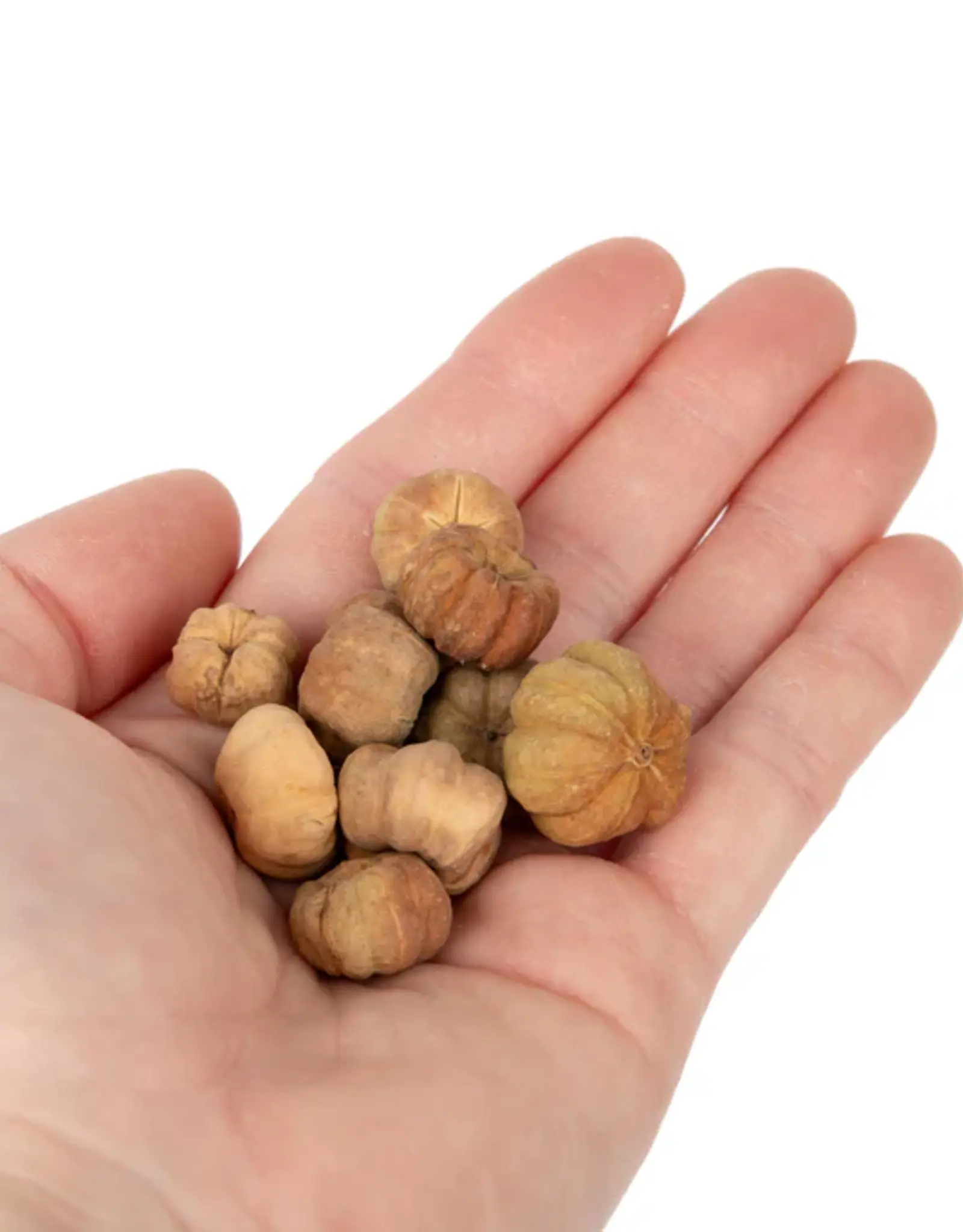 New Cal Pet NEWCAL Pumpkin Pods Mini 1oz