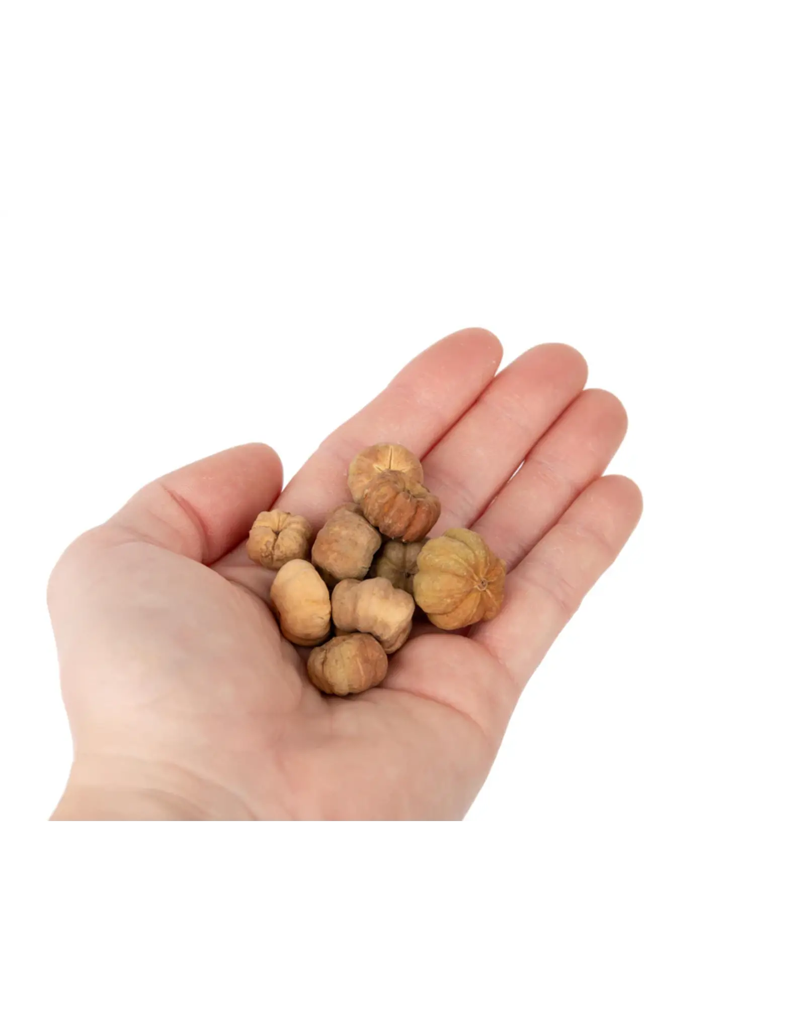 New Cal Pet NEWCAL Pumpkin Pods Mini 1oz