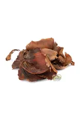 New Cal Pet NEWCAL Palm Petals 1oz
