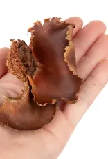 New Cal Pet NEWCAL Palm Petals 1oz