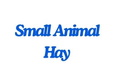 SA Hay