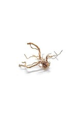 Roger's Aquatics ROGER'S AQUATIC Spider Wood
